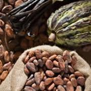 Quel chocolat est le plus sucré entre le chocolat noir et le chocolat au lait ?